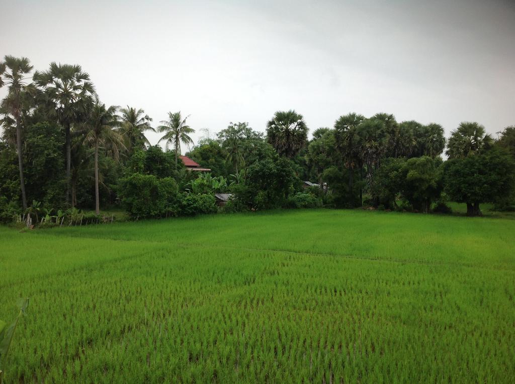 סיאם ריפ Angkor Rural Boutique Resort מראה חיצוני תמונה