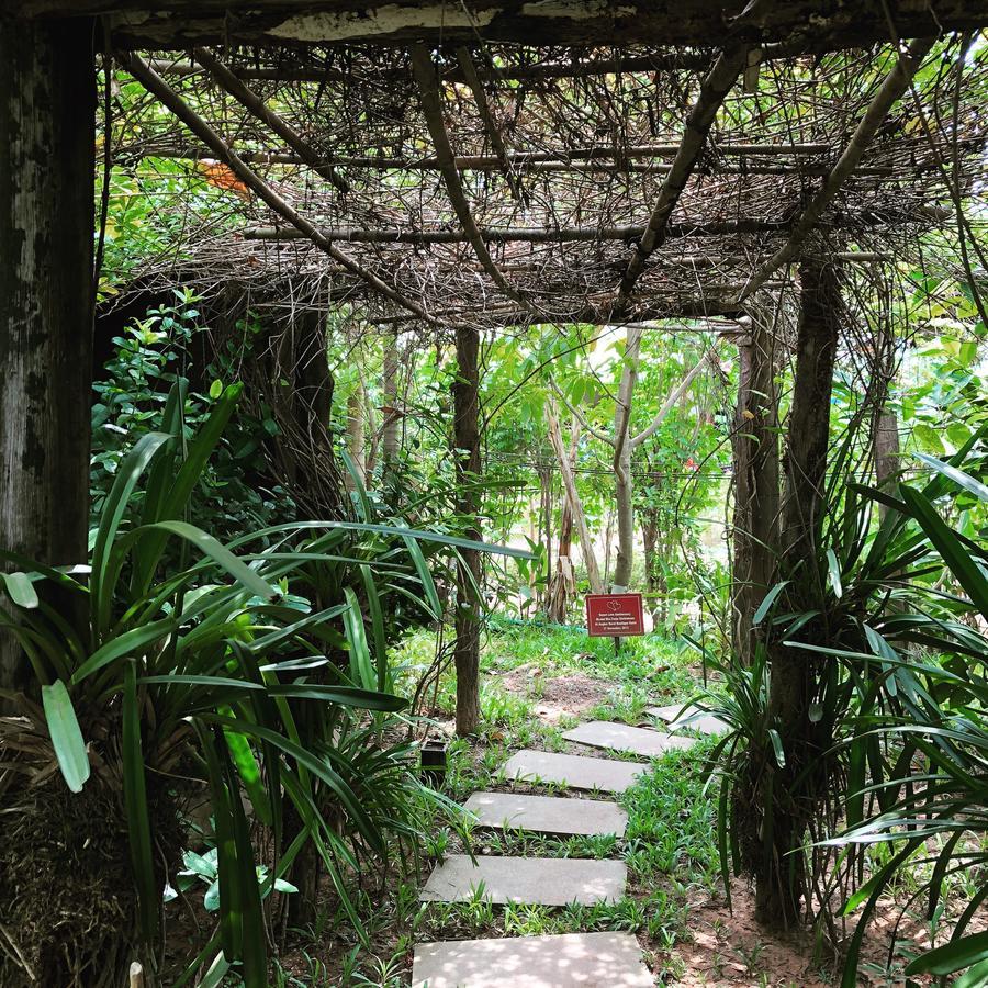 סיאם ריפ Angkor Rural Boutique Resort מראה חיצוני תמונה