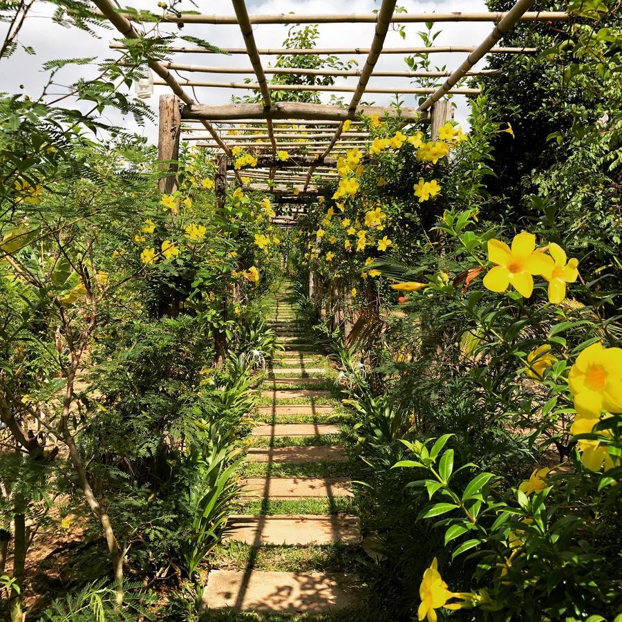סיאם ריפ Angkor Rural Boutique Resort מראה חיצוני תמונה