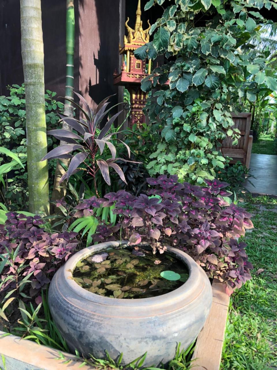 סיאם ריפ Angkor Rural Boutique Resort מראה חיצוני תמונה