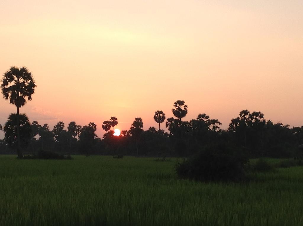סיאם ריפ Angkor Rural Boutique Resort מראה חיצוני תמונה